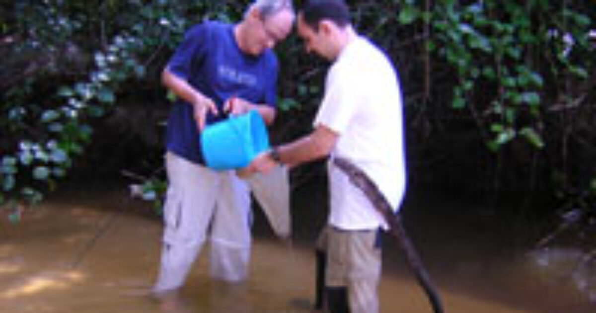 Professores da UFRB e da USP fazem 1ª coleta para estudar invertebrados aquáticos da baía do Iguape