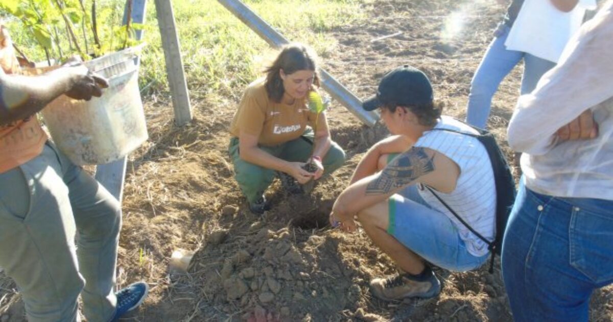 PET Mata Atlântica promove plantio de espécies nativas para Bosque de Convivência