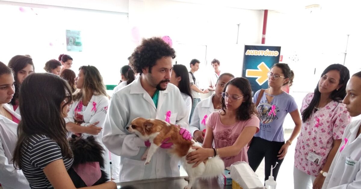 UFRB promove dia de conscientização contra câncer de mama em cães e gatos