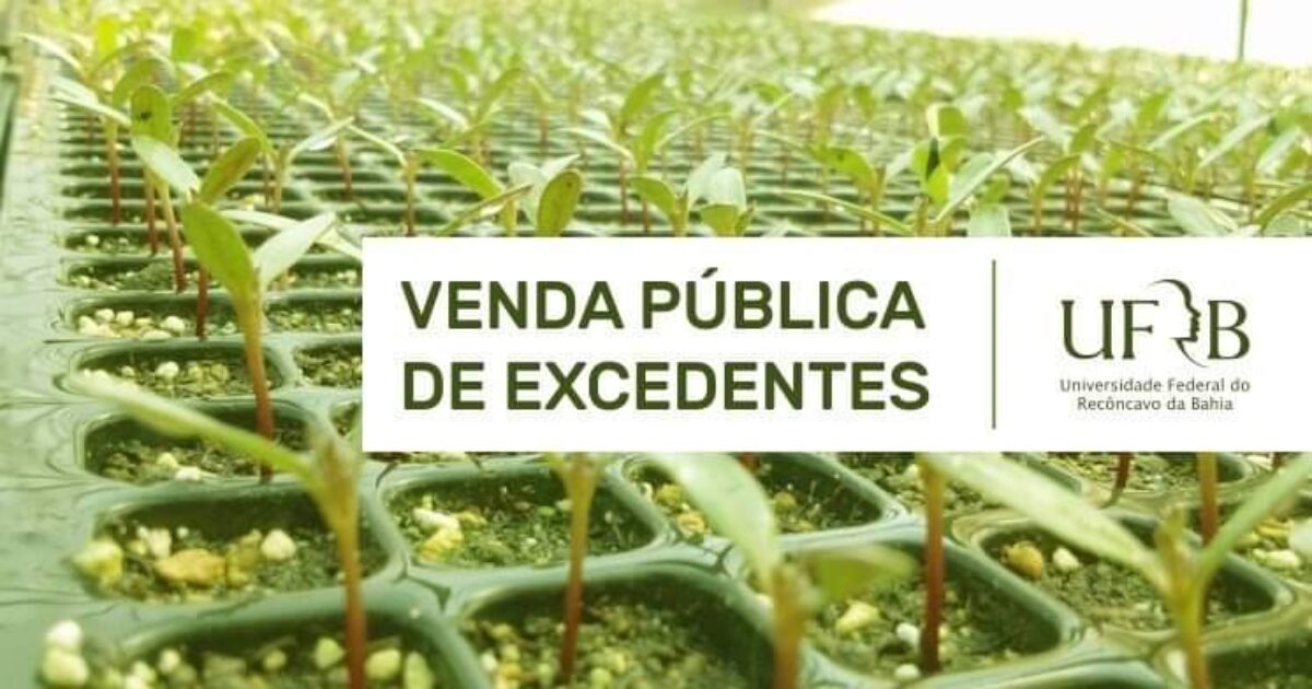 UFRB realiza venda pública de excedentes da Fazenda Experimental