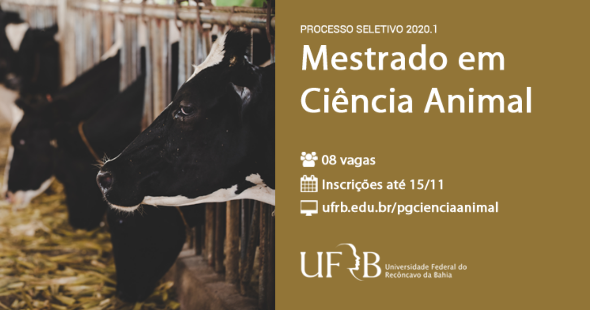 UFRB abre inscrição para mestrado em Ciência Animal, em Cruz das Almas