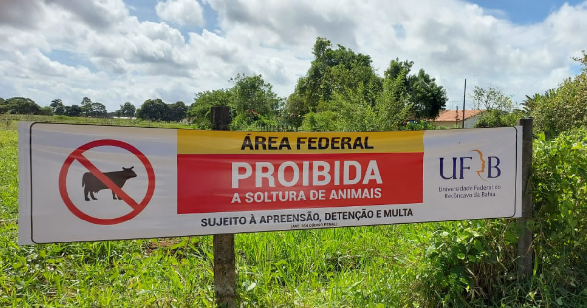 UFRB realiza ação contra soltura de animais de grande porte no Campus Cruz das Almas