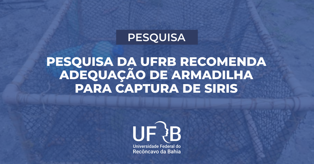 Pesquisa da UFRB recomenda adequação de armadilha para captura de siris