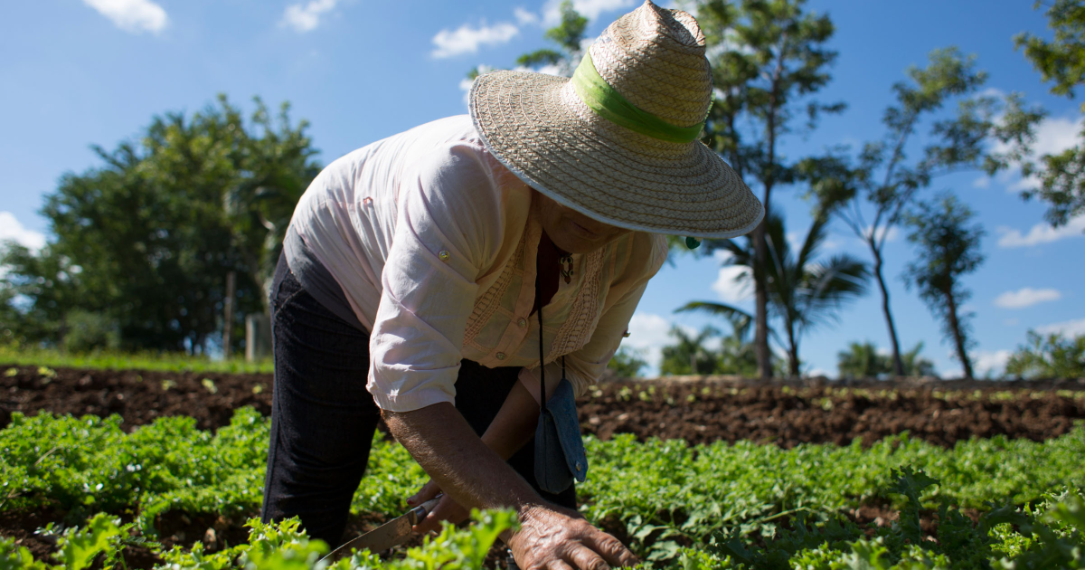 Agroecologia