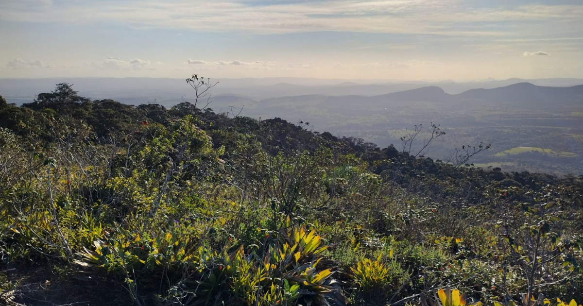 Expedição científica da UFRB e do INEMA, na Serra da Jiboia, busca espécies ameaçadas