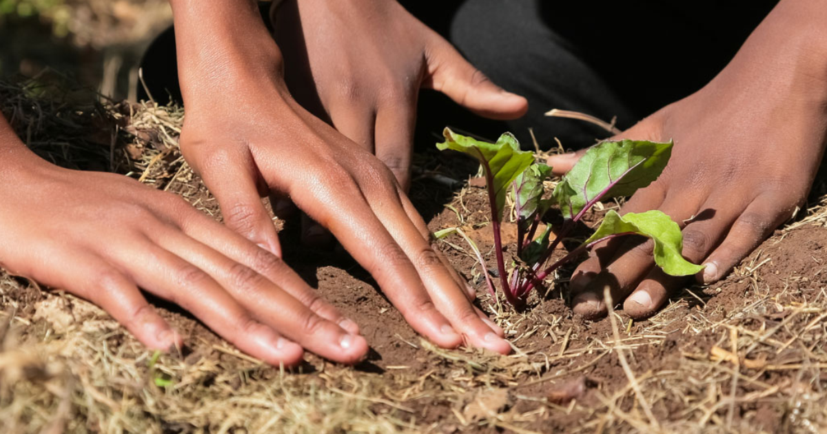 Agroecologia e Tecnologias Sociais na Educação do Campo