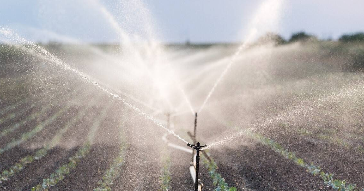 Engenharia Agrícola